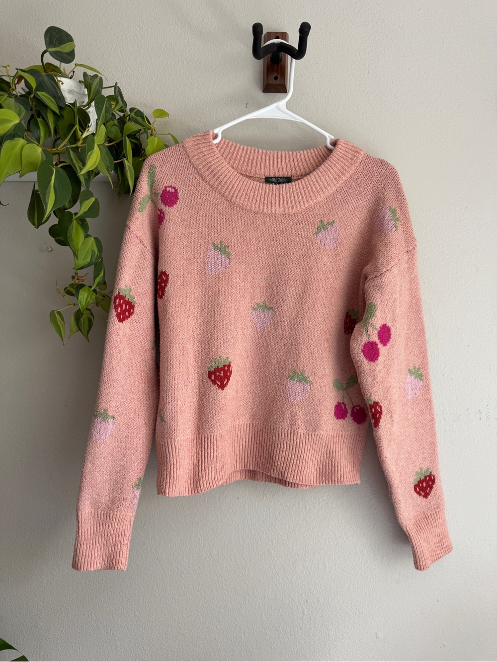 Strawberry and Cherry Sweater!!